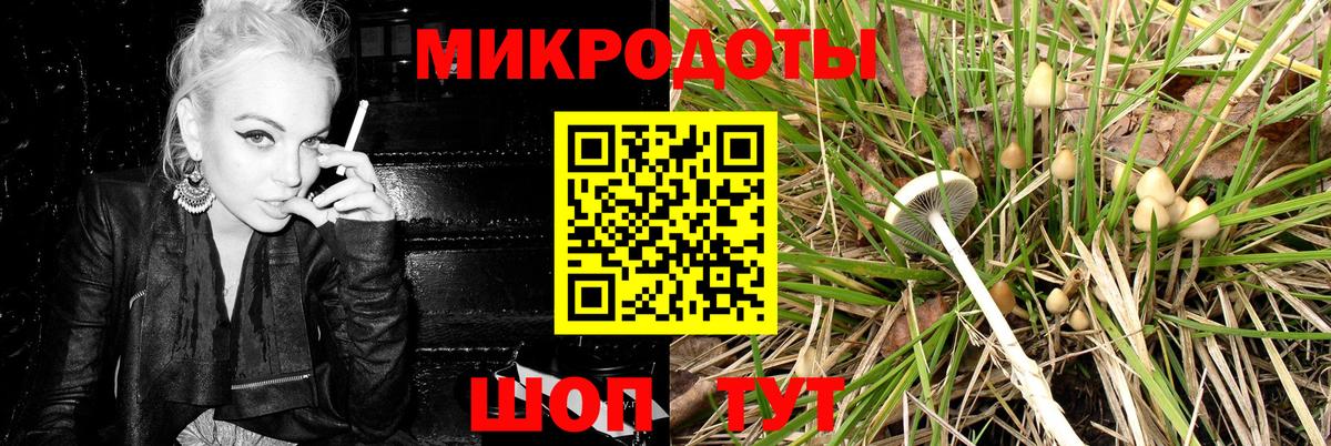 Псилоцибиновые грибы MAGIC MUSHROOMS Красногорск