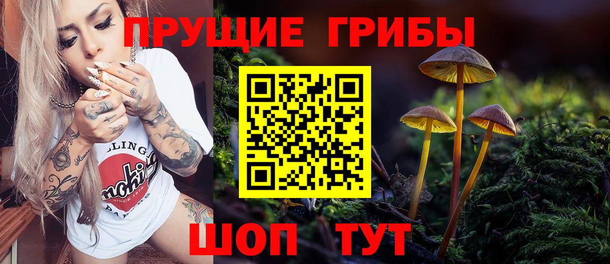 Красногорск  Галлюциногенные грибы Psilocybe  Вход с VPN  Галлюциногенные грибы мицелий 
