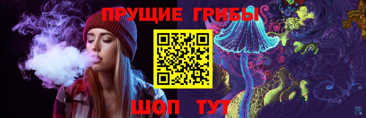 Галлюциногенные грибы GOLDEN TEACHER Красногорск