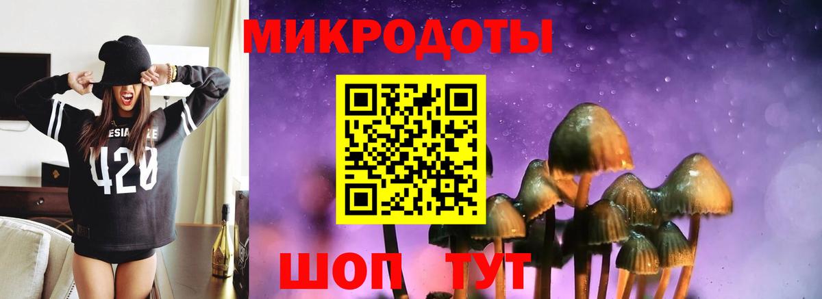 Галлюциногенные грибы Cubensis  Галлюциногенные грибы ЛСД  Красногорск 